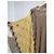 Poncho Missoni beige e giallo in viscosa e cotone - vista 2