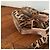 Scarpe Alessandro Dell'Acqua Leopard T.40 Beige - vista 5