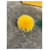 Bijou de téléphone Fendi NEUF Yellow  - view 3