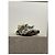 Sneakers Balenciaga Track T.36 Grigio - vista 2