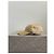 Gucci Cap beige Gr.XXL NEU - Ansicht 3