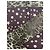 Dolce & Gabbana Schal Leopard Grün - Ansicht 2