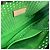 Louis Vuitton Monogram Perfo Pochette Accessoires Verde chiaro Monogramma - vista 5