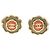 Chanel Email Ohrstecker Camellia CC in Grün