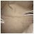 Tote Gucci GG Canvas Icon Bit Zip Branco - vista 4