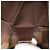 Borsa a tracolla Louis Vuitton Damier Ebene Bastille marrone - vista 6