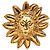 Spilla Chanel placcata oro Testa di Leone e Sole D'oro