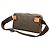 Brown Louis Vuitton Damier Geant Acrobat Belt Bag - view 2