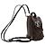 Mini zaino Palm Springs Louis Vuitton Monogram World Tour Marrone - vista 2