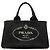 Tote Prada Canvas Canapa Logo Satchel schwarz
