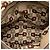 Borsa Gucci Medium Guccissima Web Britt marrone - vista 4