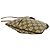 Borsa a tracolla Gucci GG Supreme Web beige - vista 6