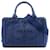 Borsa Tote e Borsa a tracolla Prada Small Canvas Canapa Logo blu