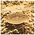 Spilla ovale CC placcata oro Chanel Gold D'oro - vista 3