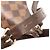 Borsa a tracolla Louis Vuitton Damier Ebene Bloomsbury PM marrone - vista 7