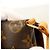 Borsa a Spalla Louis Vuitton Monogram Musette Salsa Marrone - vista 7