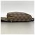Borsa a tracolla Louis Vuitton Damier Geronimos Damier ebene - vista 3