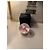 Globo de Neve Chanel N°5 Preto Rosa Branco - vista 17
