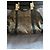 Gucci Borsa Hobo Horsebit in tela e pelle Marrone - vista 2