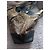 Gucci Borsa Hobo Horsebit in tela e pelle Marrone - vista 9