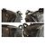 Luella Bernie Bolso Bowling Cuero Negro - vista 7