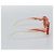 Gafas de sol BOTTEGA VENETA Plástico Rojo Auth BA14132M Roja - vista 3