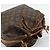 LOUIS VUITTON Monogram Petit Noe Shoulder Bag M42226 LV Auth 195303A Monogramma - vista 6