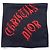 Dior by Galliano SS02 Chiffon Halstuch mit ‘Gothic’ Logo Schwarz - Ansicht 4