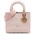 Dior Pink Medium Embroidered Canvas Cannage Lady D Lite Rosa