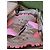 Gucci Scarponi da trekking Beige e Rosa Grigio - vista 4