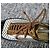 Chanel Oxford-Schuhe aus schwarzem Lackleder und silbernem Perforationsleder Golden - Ansicht 14
