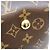 Borsa a tracolla Louis Vuitton Monogram Carryall NM PM Marrone - vista 7