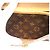Borsa a tracolla Sologne in tela Monogram Louis Vuitton Marrone Beige - vista 11