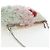 Bolso de hombro con cadena Miu Miu de piel Pink Silver Auth 194738V Plata Rosa - vista 6