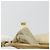 Borsa a Tracolla PRADA Nylon 2way Beige Gold Auth 193402A D'oro - vista 12