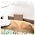 Borsa Gucci GG Supreme Tian Multicolore Beige - vista 6