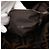 Borsa Fendi Zucca monospalla Marrone Nero - vista 6