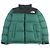 THE NORTH FACE Giacca Nuptse Giacca in Piuma Verde