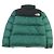 THE NORTH FACE Giacca Nuptse Giacca in Piuma Verde - vista 4