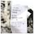 Céline CELINE Shetland Logo Button Nordic Pattern Wool Knit Mehrfarben  - Ansicht 9