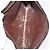 LOUIS VUITTON Monogram Poche Toilette 26 Pouch M47542 LV Auth 183564 Monogramma - vista 14