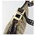 Borsa a tracolla BOTTEGA VENETA Canvas Beige Gold Auth 195022 D'oro - vista 16