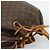 Borsa a tracolla LOUIS VUITTON Monogram Petit Noe M42226 LV Auth bs36701 Monogramma - vista 6