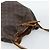 LOUIS VUITTON Monogram Petit Noe Shoulder Bag M42226 LV Auth 196026 Monogramma - vista 6