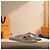 Twist Louis Vuitton Sandali Sunset Thong Taupe Brown Marrone - vista 2