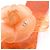 Chanel Scarpe Jelly da donna con logo CC e Camelia rossa - vista 5