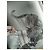Stella Mc Cartney Stella McCartney Oversized Sweatshirt mit Tiger-Stickerei (Made in Italy) Beige - Ansicht 3