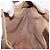 Bolso GUCCI GG Supreme Web Sherry Line PVC Beige Gold 41 02 034 Auth 195583 Dorado - vista 19