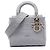 Dior Gray Medium Embroidered Canvas Cannage Lady D Lite Marrone Grigio