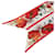Alexander Mcqueen Twilly con stampa floreale Rosso - vista 6